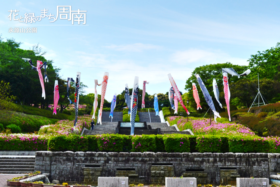 花と緑のまち周南「永源山公園」こいのぼり正面