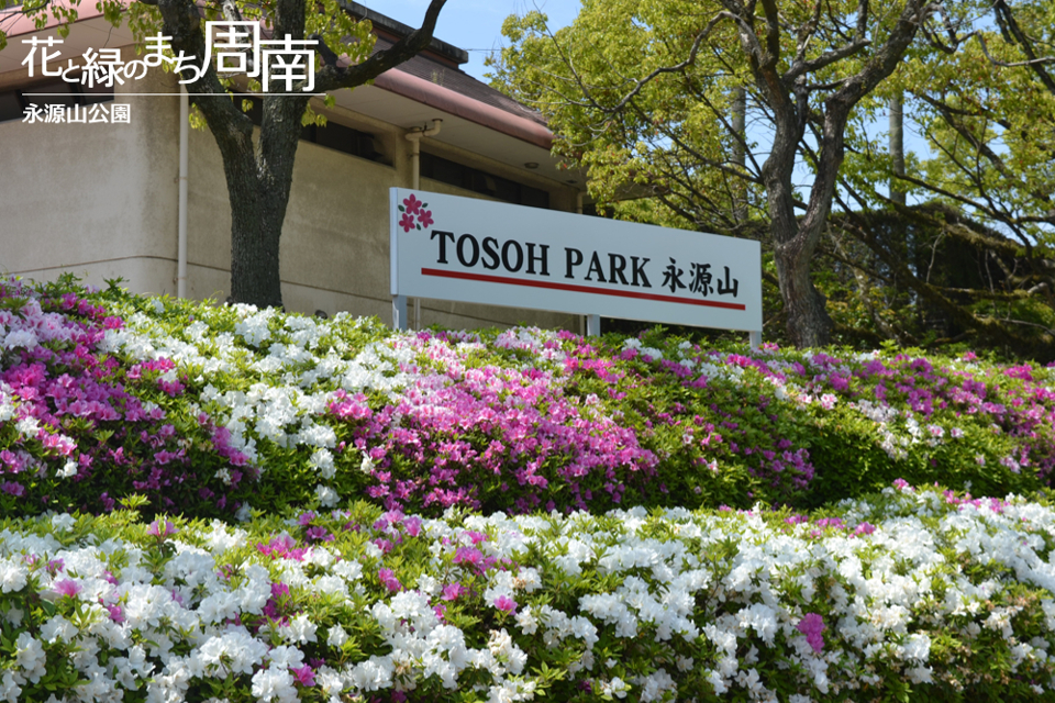 花と緑のまち周南「永源山公園」看板