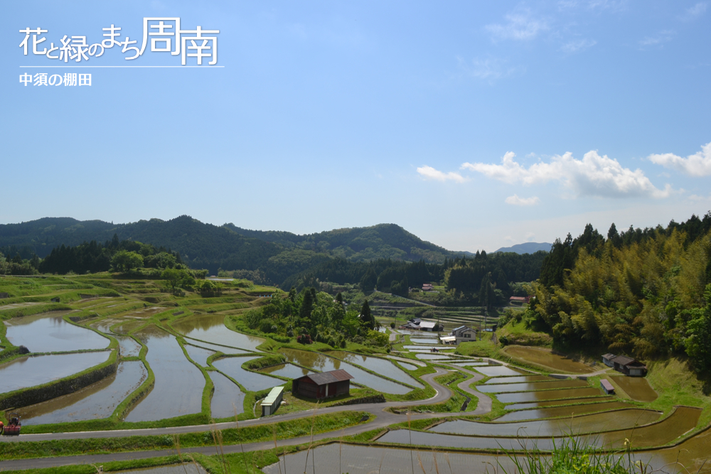 花と緑のまち周南「中須の棚田」全景