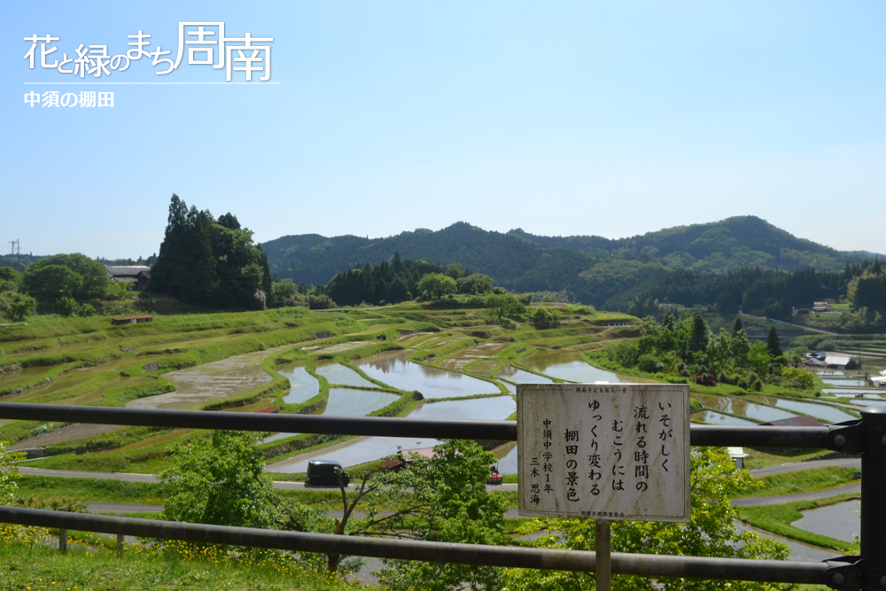 花と緑のまち周南「中須の棚田」周南子ども百人一首