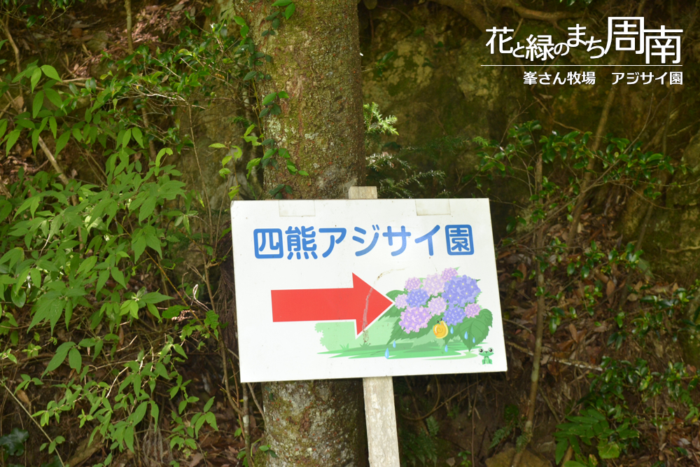 花と緑のまち周南「峯さん牧場　アジサイ園」看板