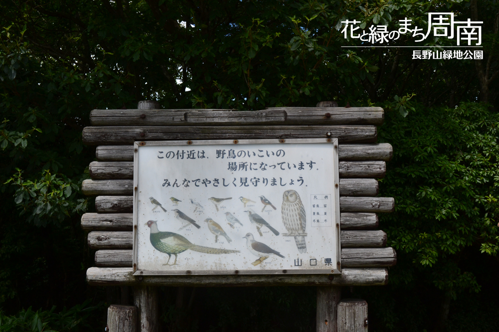 花と緑のまち周南「長野山緑地公園」野鳥看板