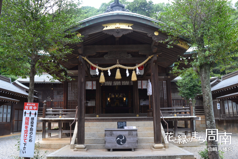 花と緑のまち周南「山﨑八幡宮」