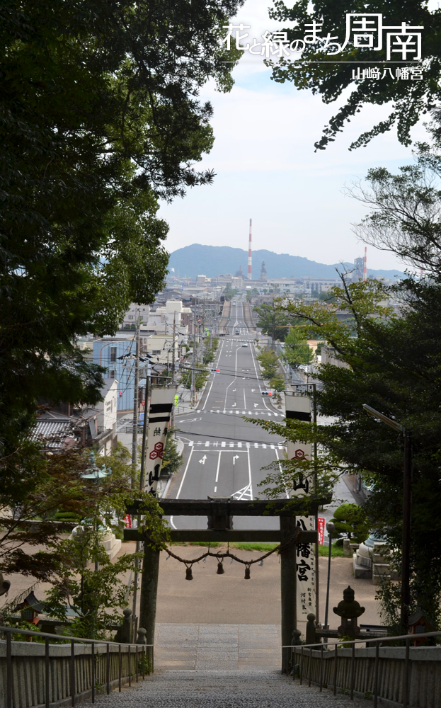 花と緑のまち周南「山﨑八幡宮」眺望