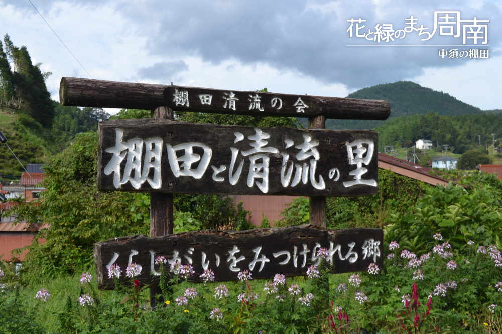 花と緑のまち周南「中須の棚田・秋」棚田と清流の里看板