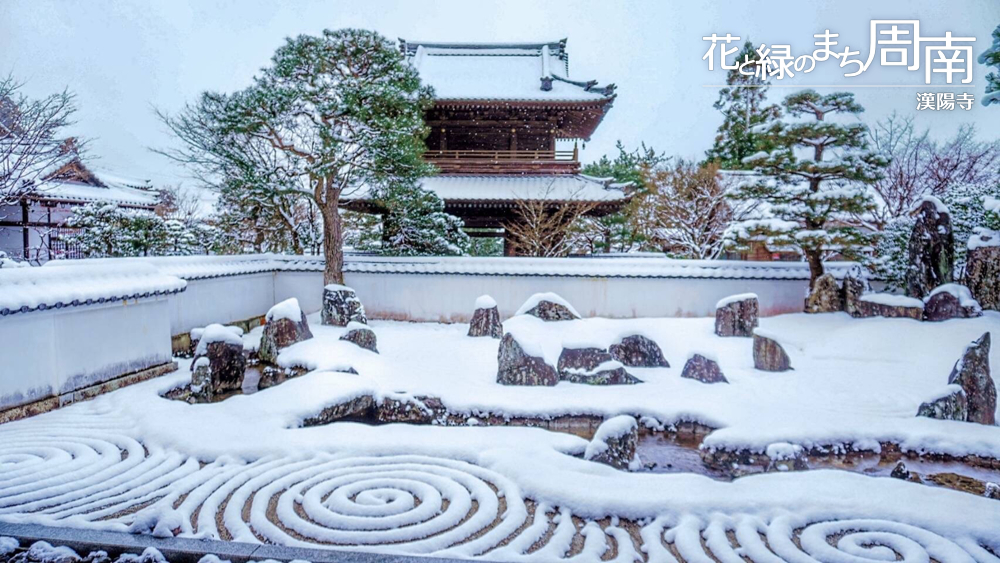 花と緑のまち周南「鹿苑山　漢陽寺」雪の”曲水の庭”